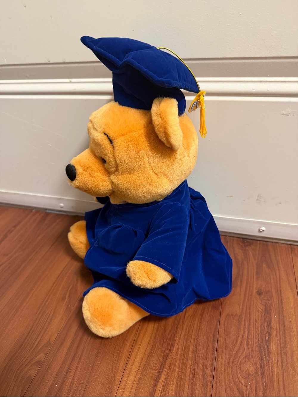 Disney Winnie the Pooh Graduation Stuffed Animal - Picture 4 of 6